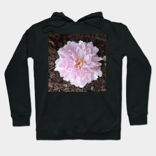 Peony Hoodie